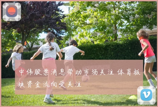 中伟股票消息带动市场关注 体育板块资金流向受关注