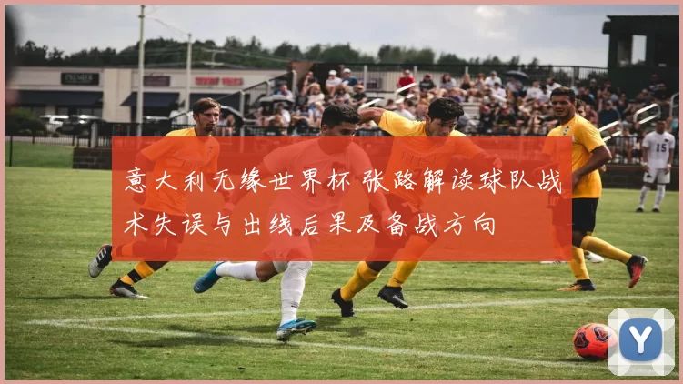 意大利无缘世界杯 张路解读球队战术失误与出线后果及备战方向