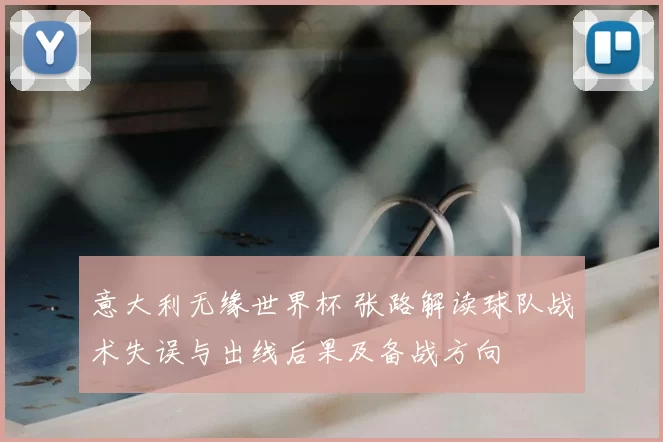 意大利无缘世界杯 张路解读球队战术失误与出线后果及备战方向